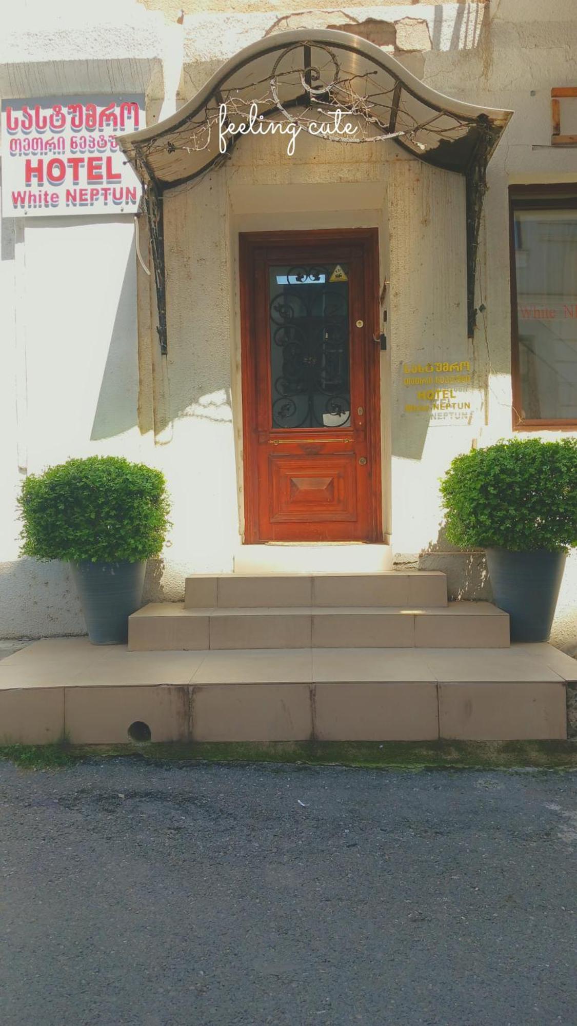 Hotel White Neptun Georgia Tbilissi Extérieur photo